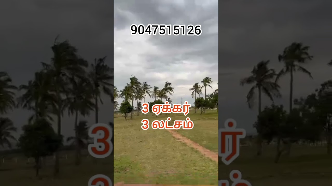 MR land for sale Acer 3 lakhs only  l 9047515126 #madurai #trending #realestate#construction