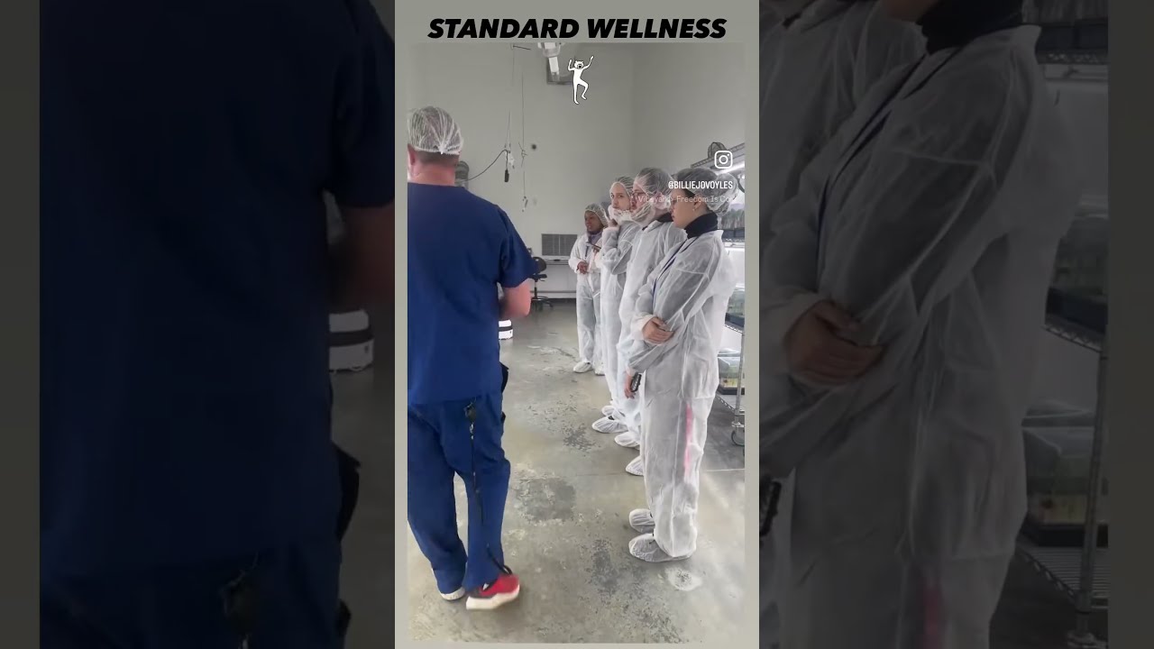 Cannabis cultivation &  manufacturing tour - Standard Wellness