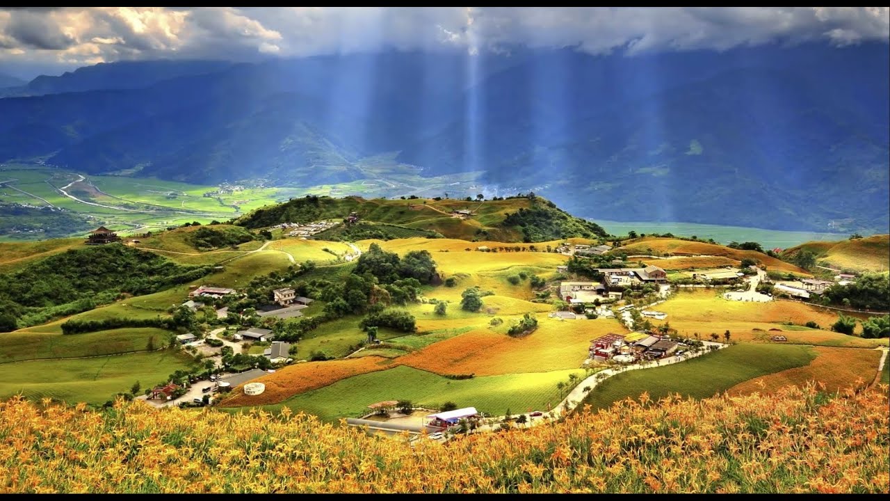 【花東宏宣】空拍美麗的花蓮富里六十石山金針花海.台灣米倉..等 _版權所有/富里鄉公所
