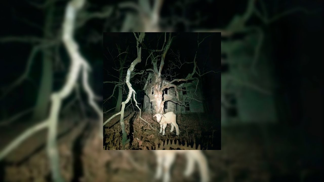 dark fragrantica playlist / tiktok version