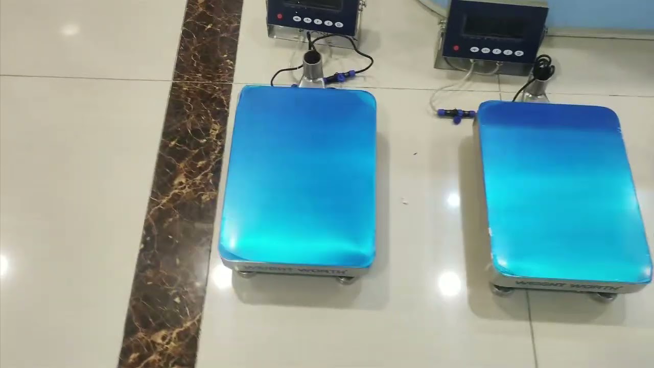 Stainless Steel Platform Scale for Vietnam Market | Heavy-Duty Floor Scale#platformscale #floorscale