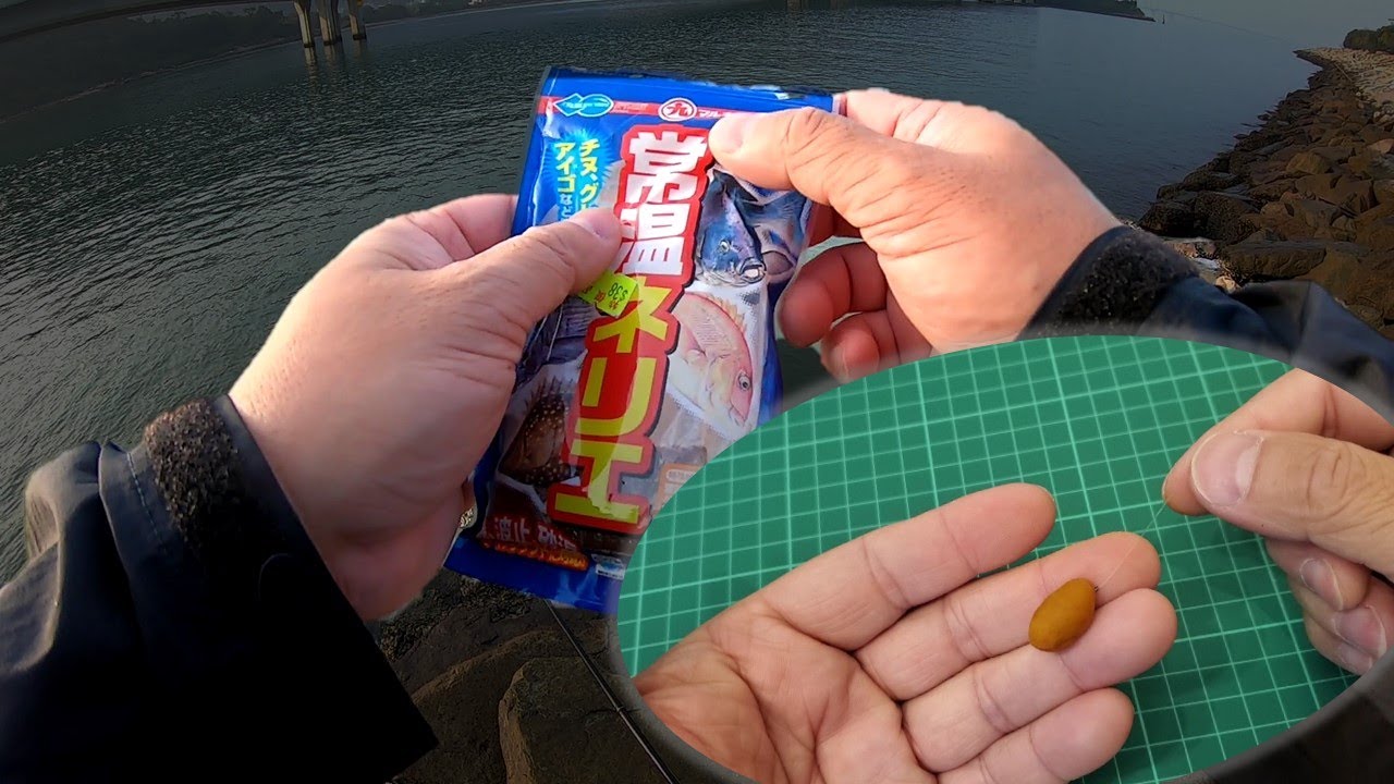 磯釣 | 近期大熱 - 丸九常溫練餌用法分享