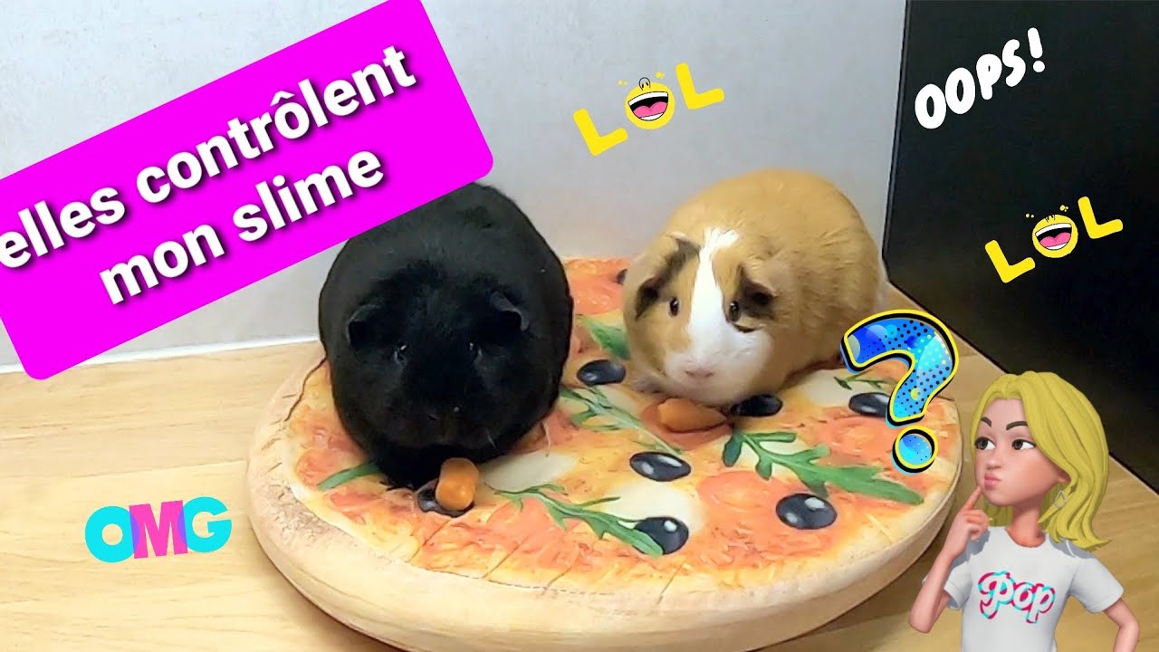 slime 🙀 mon cochon d'inde controle mon slime avec des ingrédients bizarres et chelou