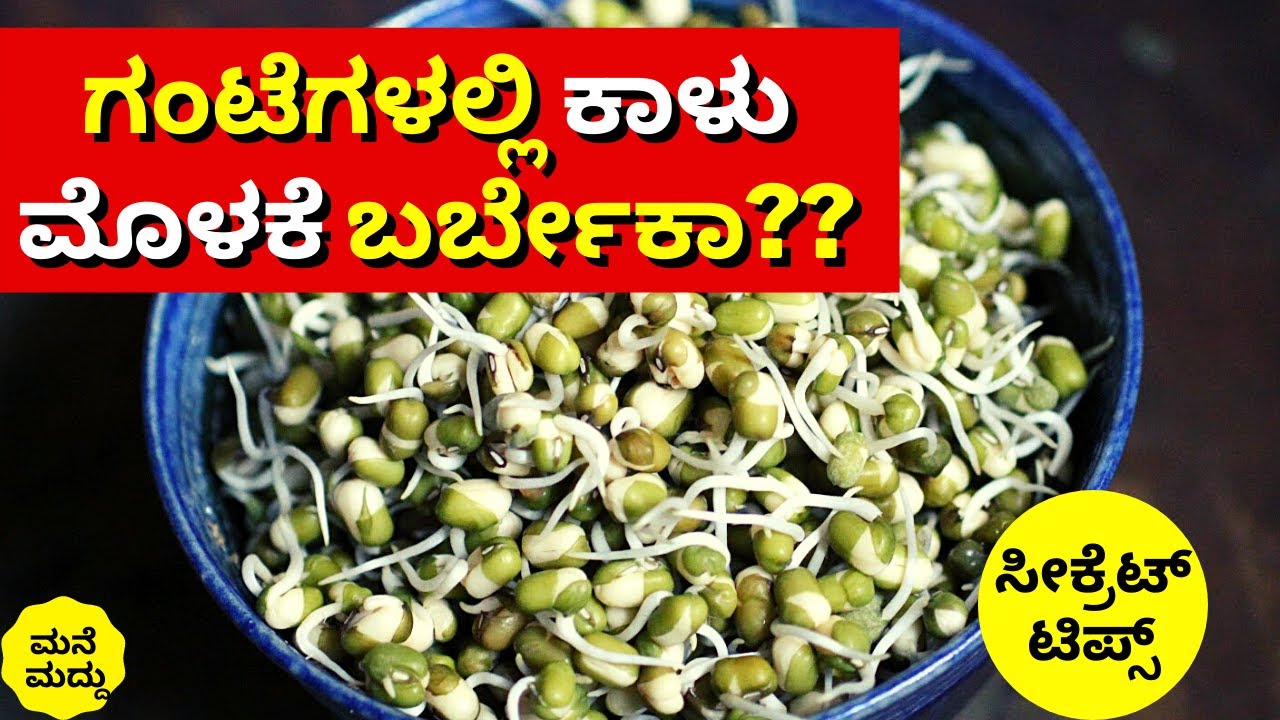 ಗಂಟೆಗಳಲ್ಲೇ ಬೇಗ ಕಾಳು ಮೊಳಕೆ ಬರ್ಬೇಕಾ? | EASY WAY TO MAKE SPROUTS AT HOME #MOLAKEKATTUVAVIDHANAINKANNADA