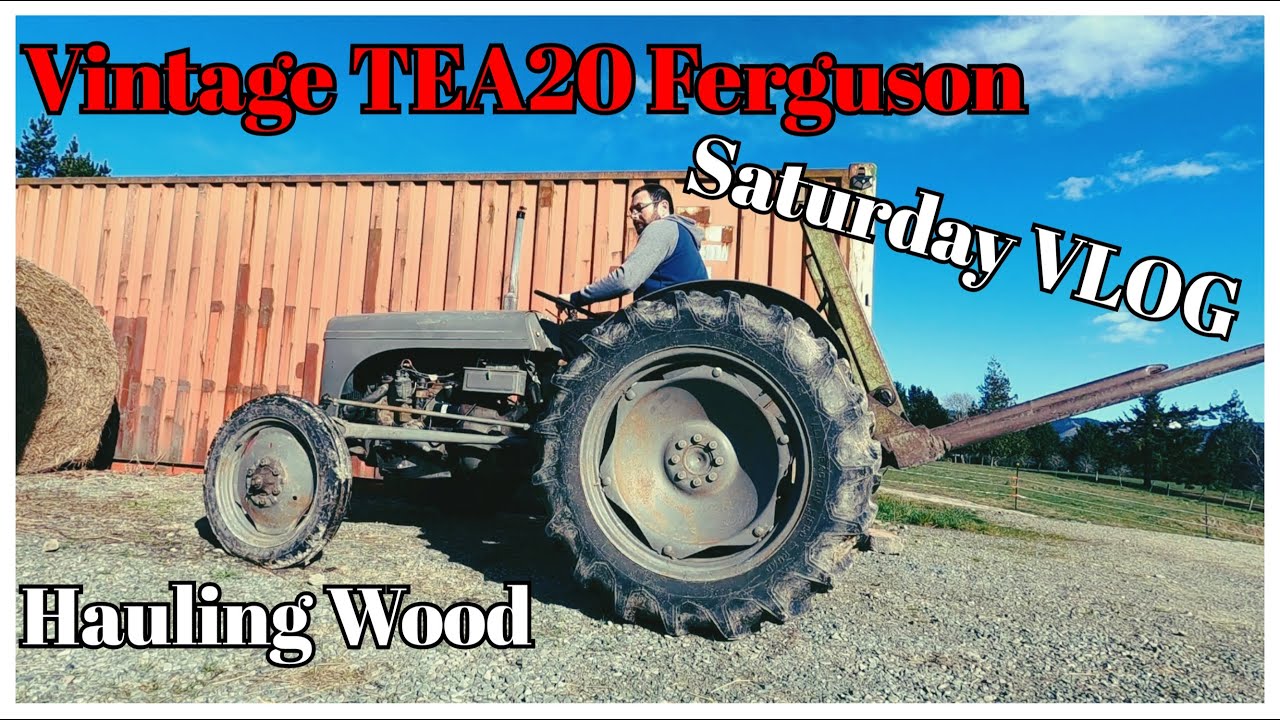 Saturday Vlog, TEA 20 Ferguson Firewood Haul