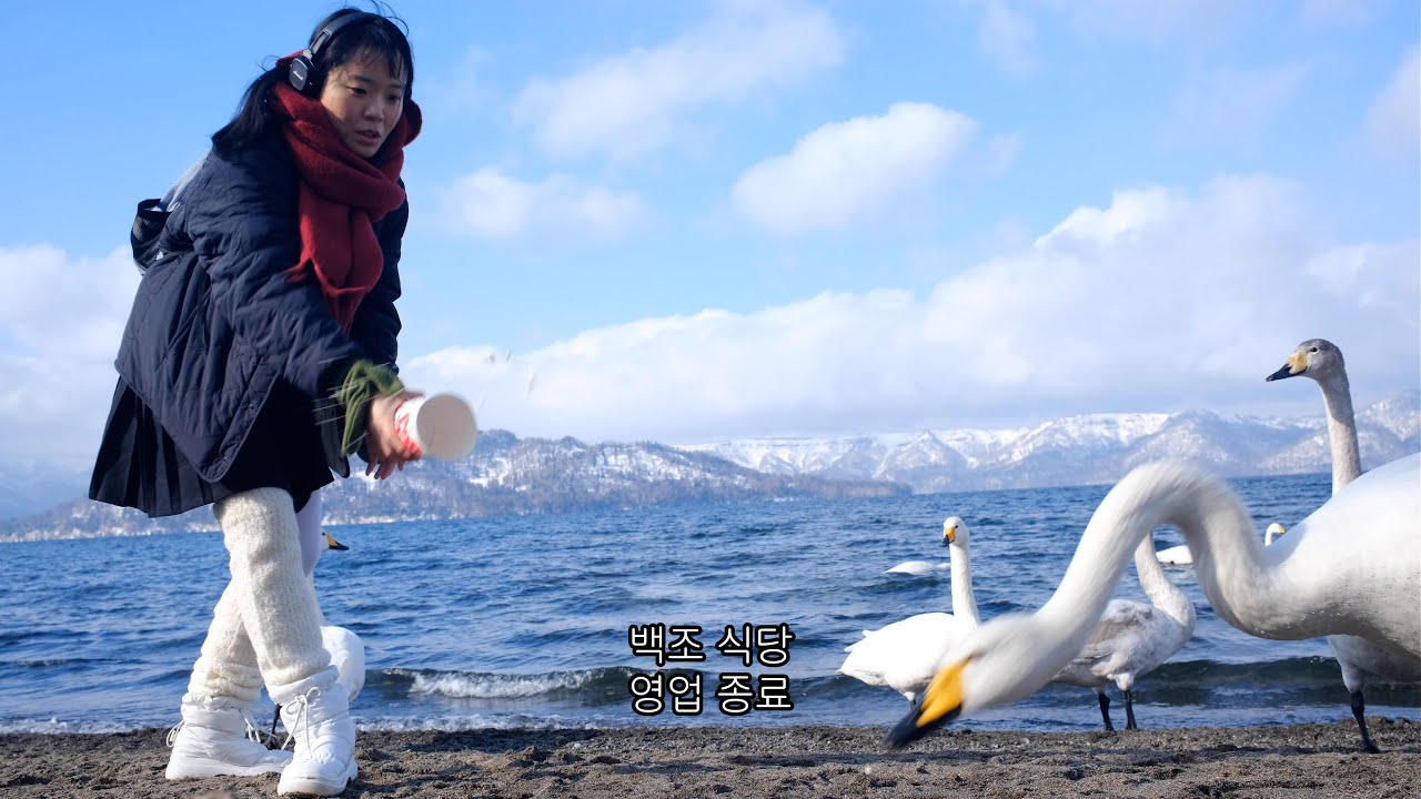 눈 내리는 북쪽 나라 이야기, 목표는 백조다