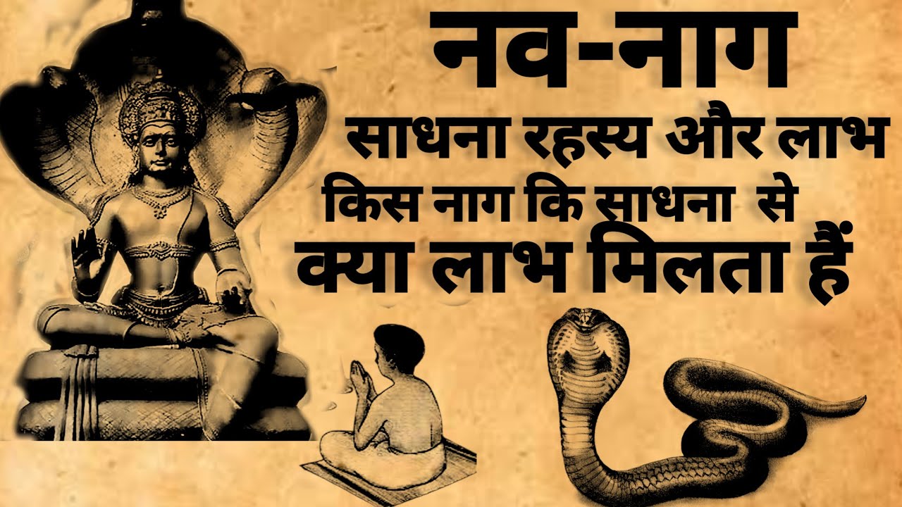 Nav Naag Sadhna Rahsya | नव नाग साधना के रहस्य और लाभ | नाग साधना #mantrasadhna