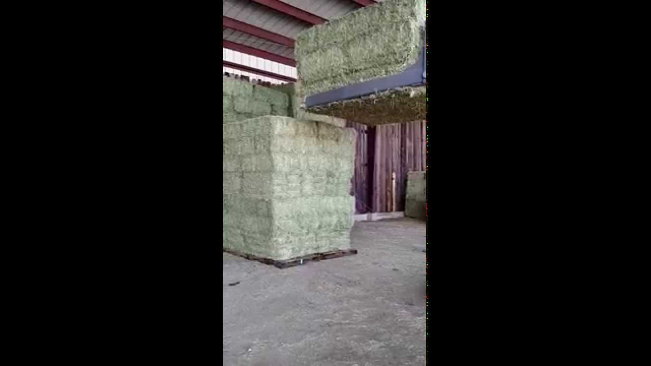 VID 20150618 094524599
