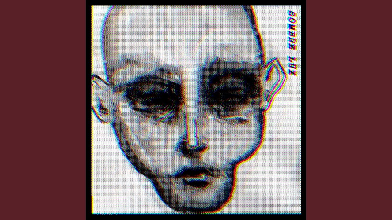 The Birds Are Flying in a Circle