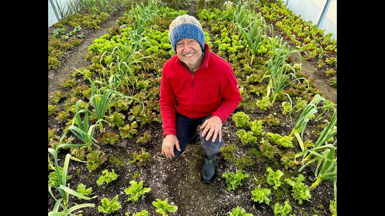 How to have polytunnel abundance through the winter season