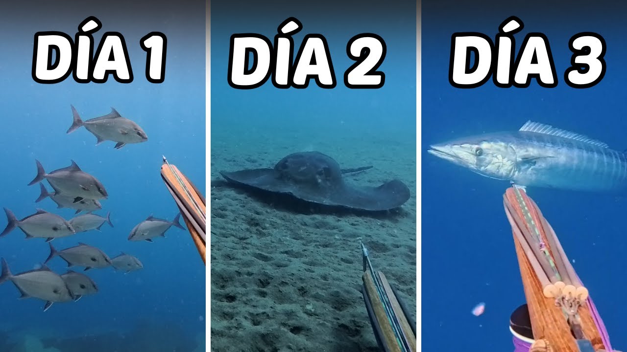 3 D&iacute;as Intentando Pescar Un Pez Gigante Con Arp&oacute;n