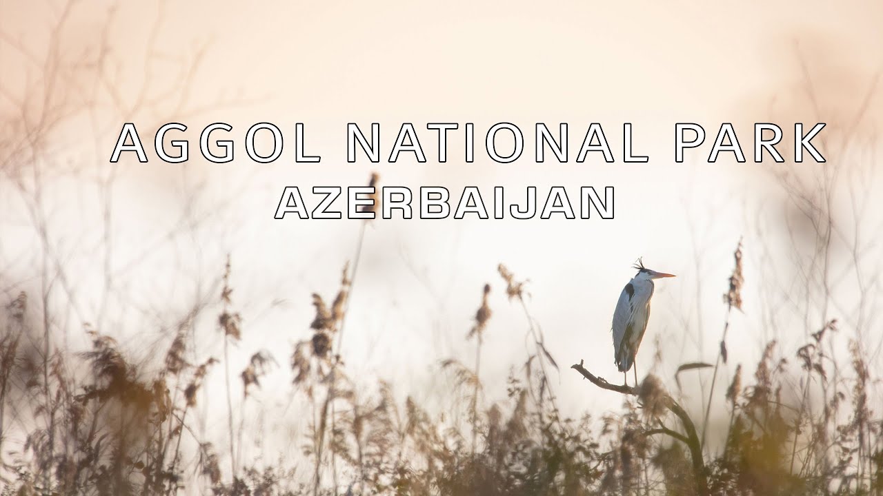 Aggol National Park. Azerbaijan