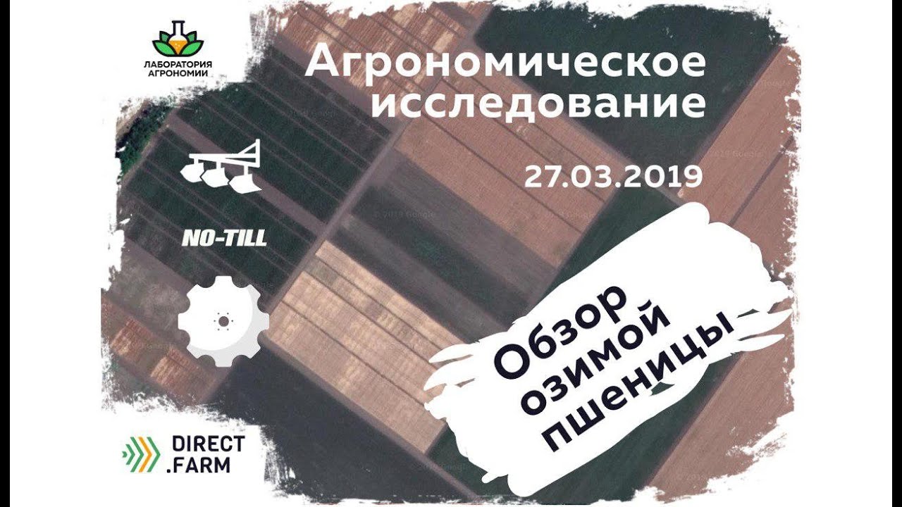 Озимая пшеница (Дискование, Вспашка, Ноу Тилл)