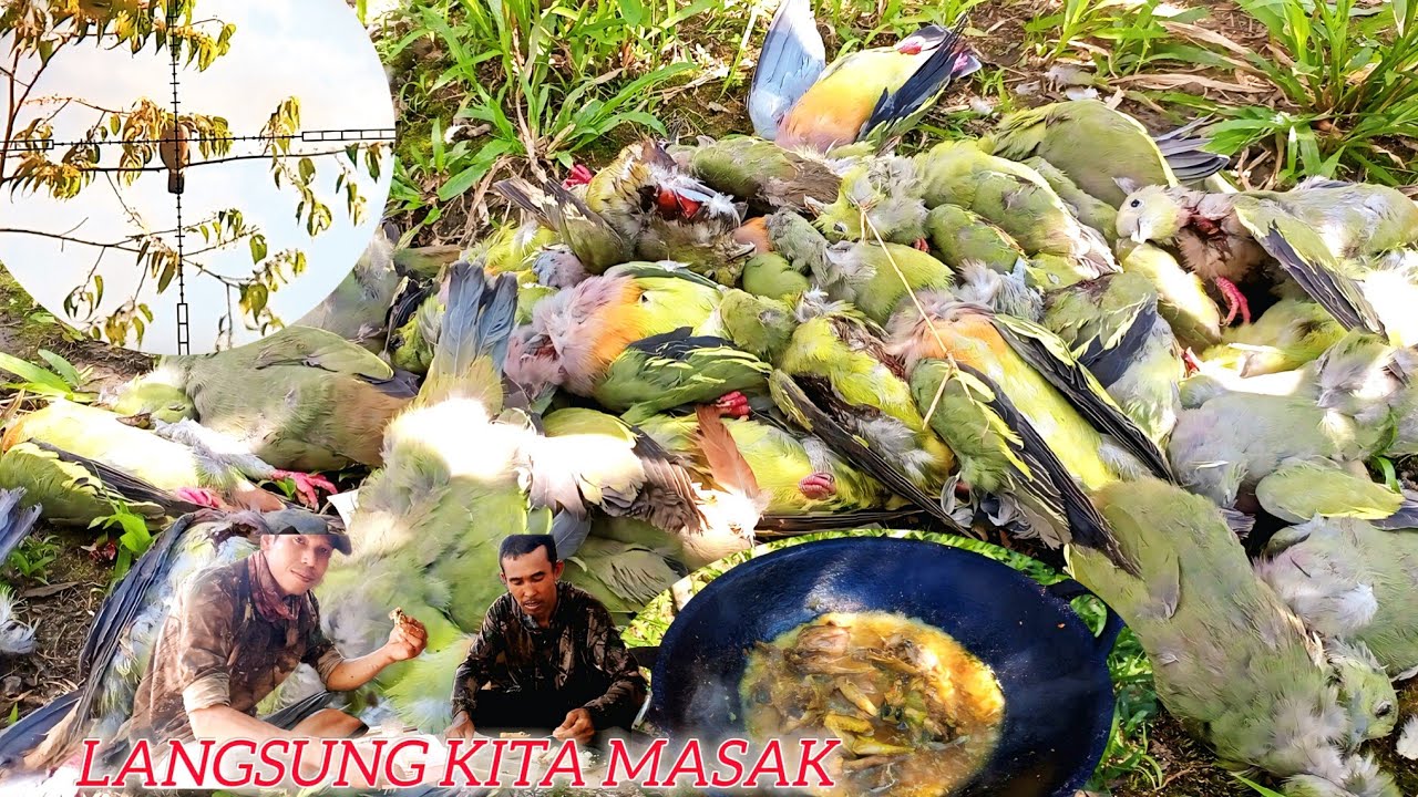 SPOT RIBUAN PUNAI KALIMANTAN 