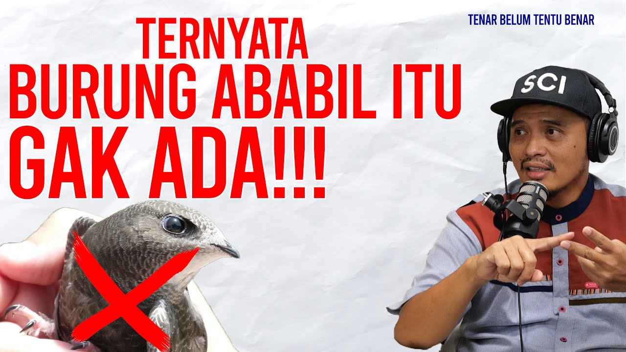 Pemahaman Keliru Tentang Burung Ababil ‼️