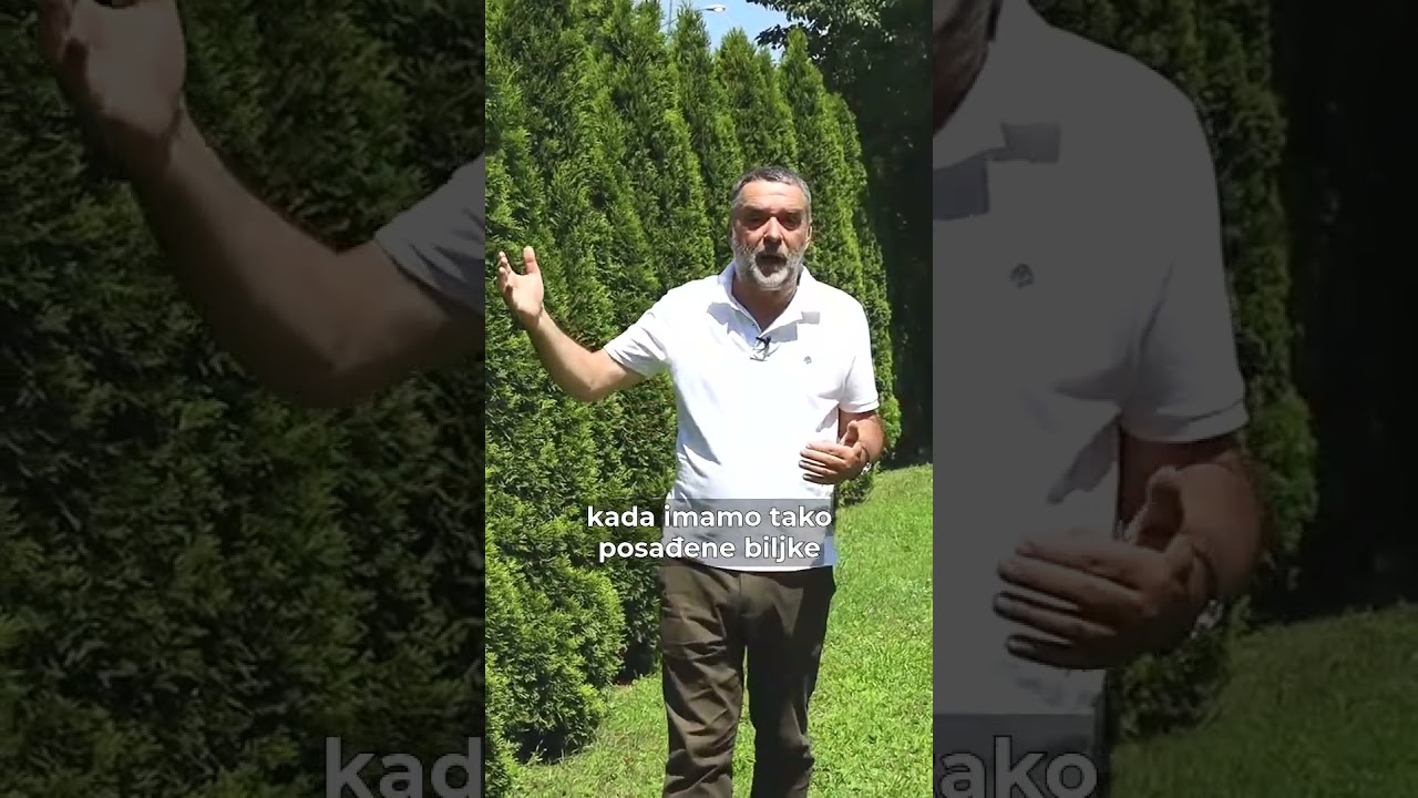 Spas od vrućine