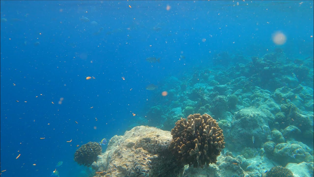 Snorkelling, Maalhos, Maledives