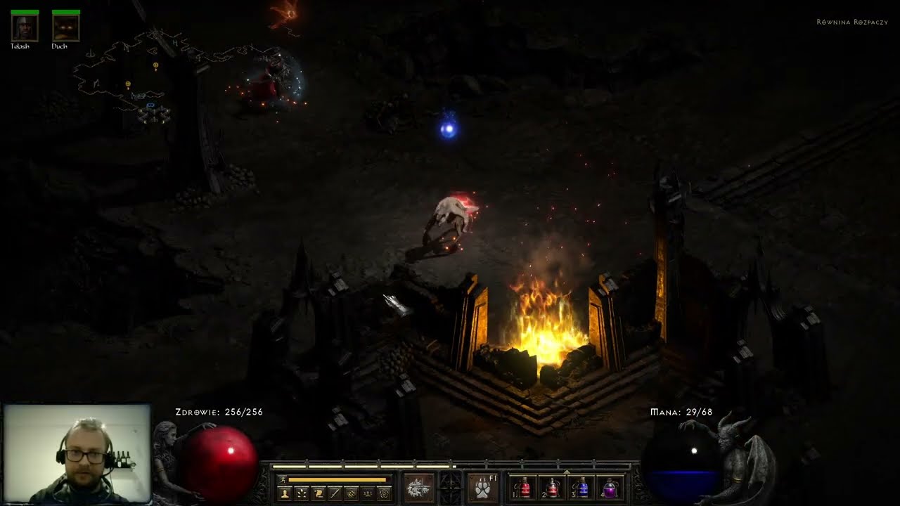 Diablo 2 Resurrected [HC] Druid #9
