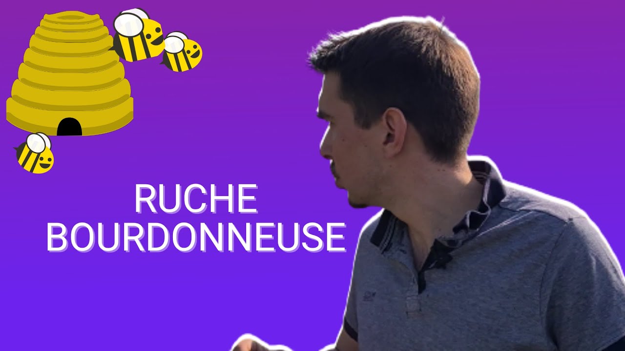 Que faire avec une ruche bourdonneuse?