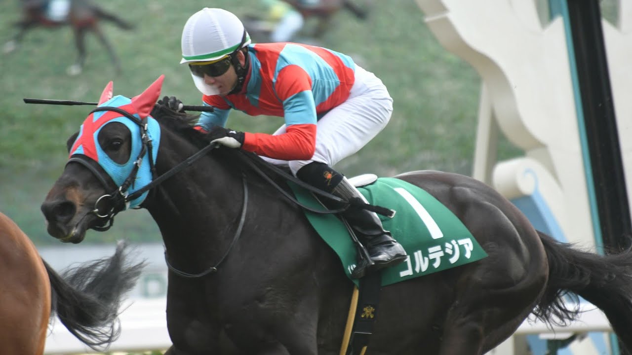 #魂の騎乗【パンダといっしょ】コルテジア(2020きさらぎ賞)#285