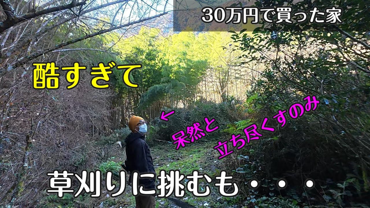 山奥の朽ちた家を買ったら想像以上に大変だった【30万円で買った別荘】