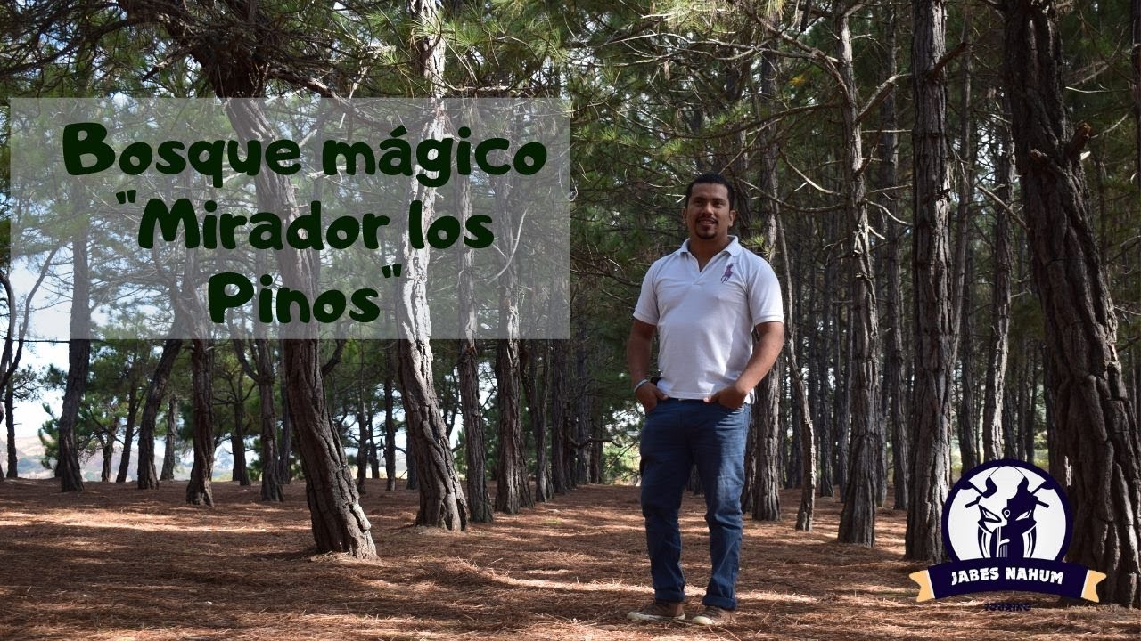 Visitando un bosque m&aacute;gico | Mirador los Pinos, La Playa de Bel&eacute;n | Jabes Nahum
