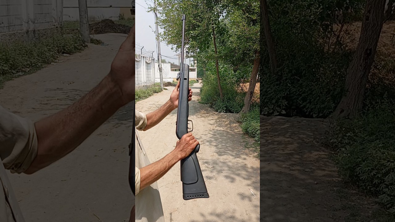 Birds hunting with airgun | Airgun Hunting in village | Best Springer low budget airgun | Air Rifle