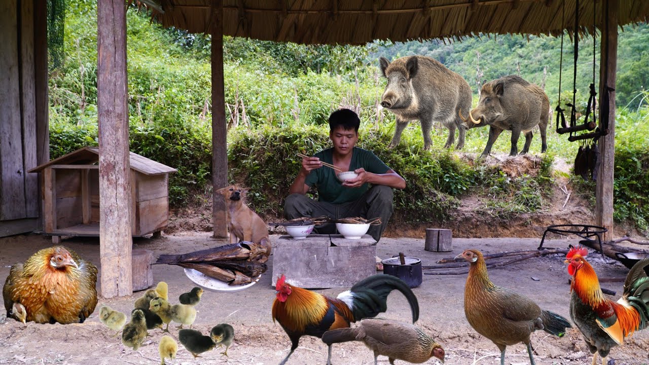 Build a farm in the wild, lonely life in the mountains, build a coop for wild chickens, green forest