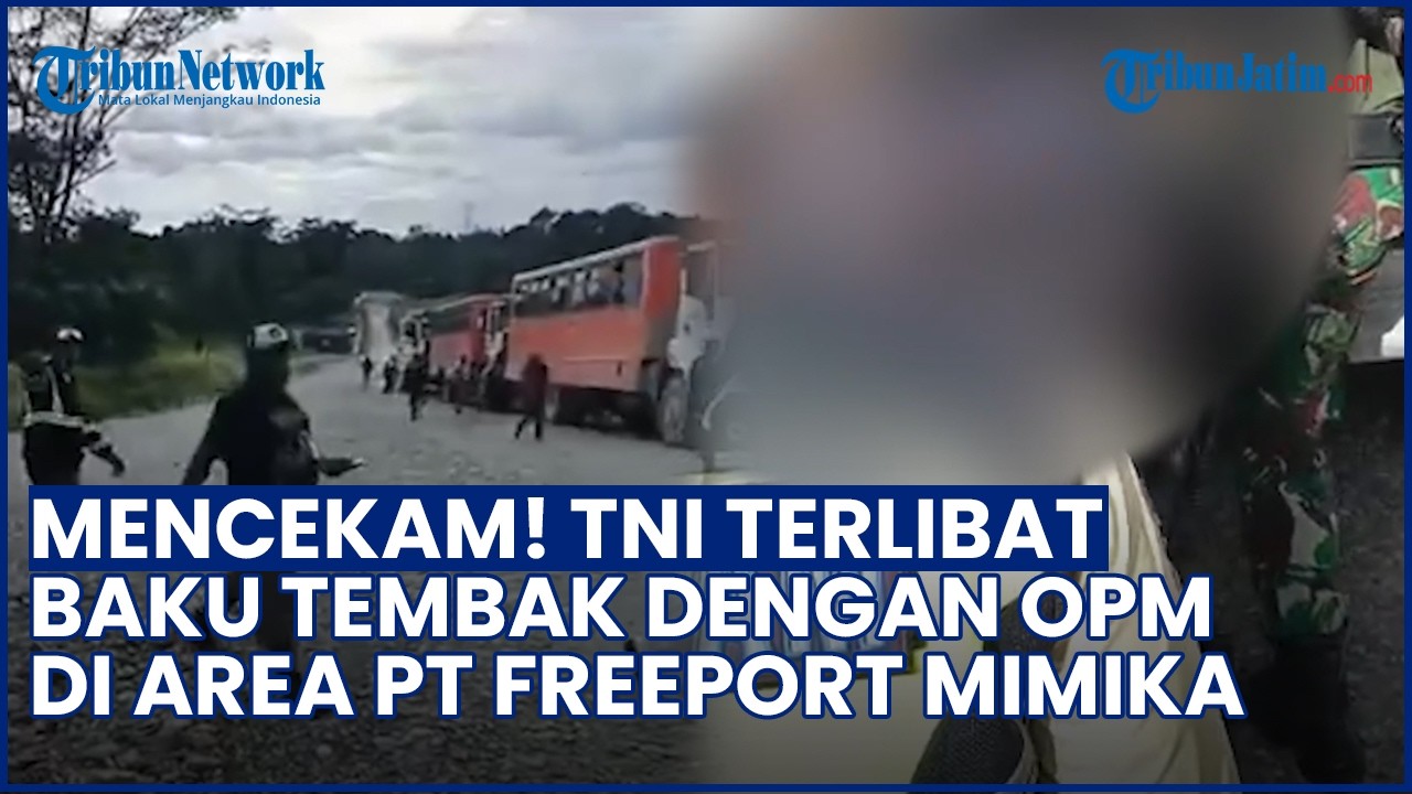 MENCEKAM! TNI Terlibat Baku Tembak dengan OPM di Area PT Freeport Mimika, 1 Prajurit Gugur