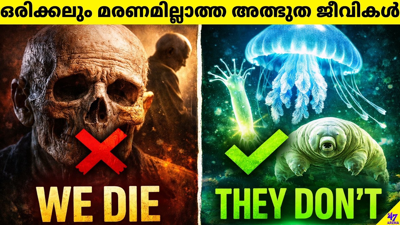 Immortal Animals: Death Is Optional for These Animals | 47 ARENA