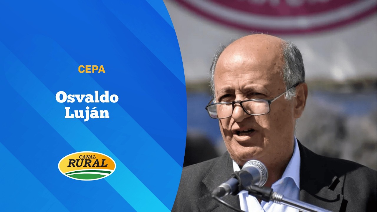 Ovinos en Chubut: suben los precios de lana y carne, pero crecen las alertas por predadores y sarna