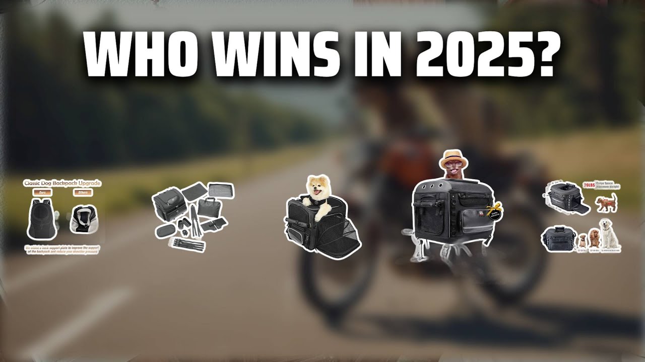 The Top 5 Best Motorcycle Dog Carriers in 2025 - Must Watch Before Buying!