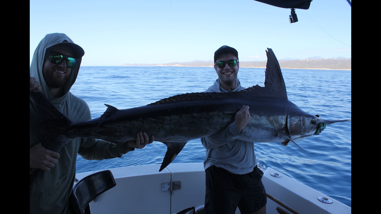 Marlin & Dorado Sports Fishing Cabo San Lucas