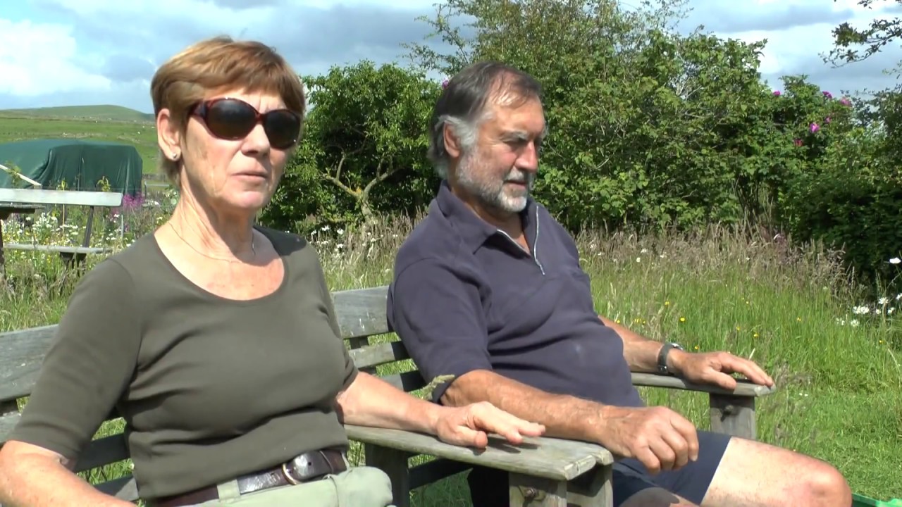 Building a Wildlife Pond