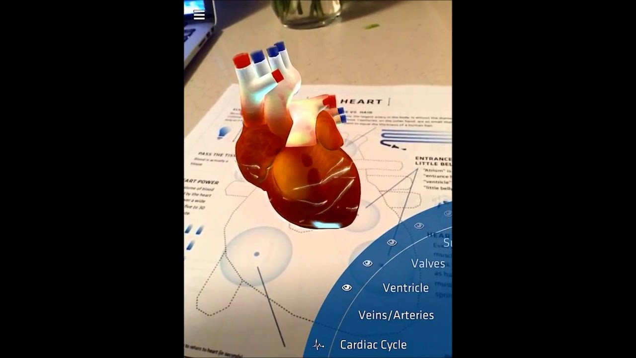 Anatomy 4D AR