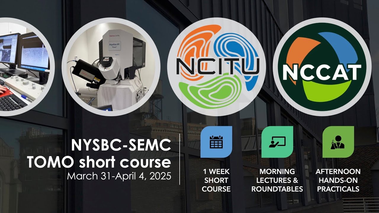 2025 NCITU/NCCAT TOMO short course - Training Generalized Segmentation Networks