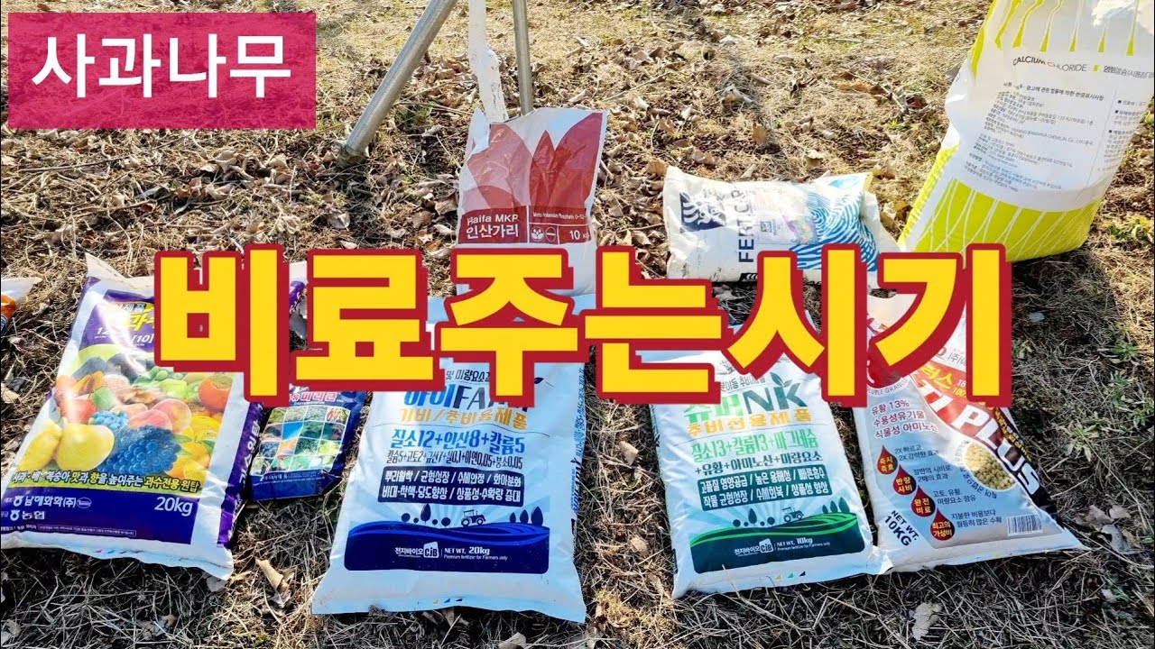 사과나무 비료주는시기