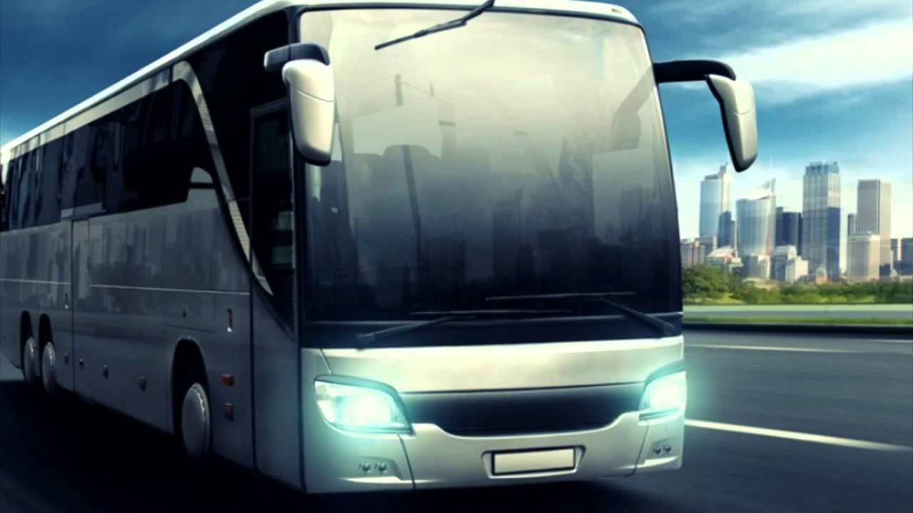 Cardinal Buses