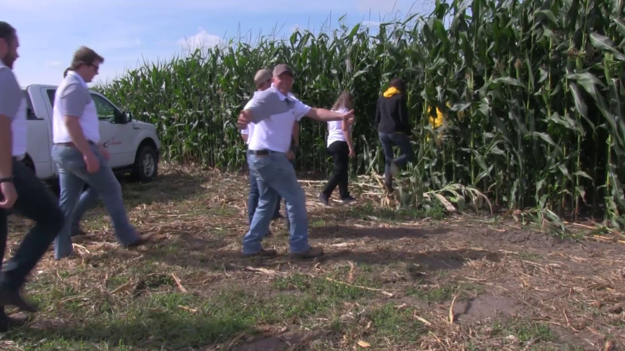 Great Lakes Grain - 2019 Crop Assessment Tour
