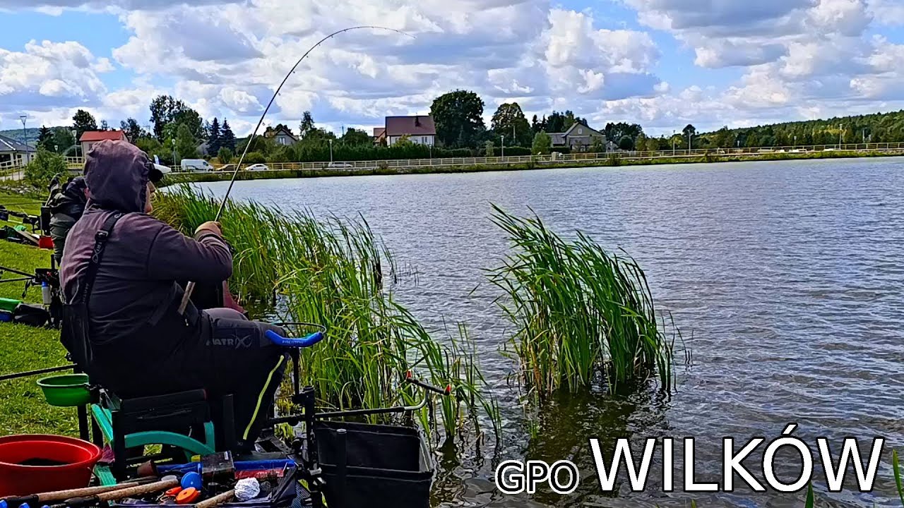 FEEDEROWE GRAND PRIX OKRĘGU | FEEDER KLASYCZNY | WILK&Oacute;W
