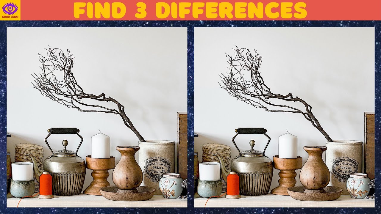 【Find the Difference】 Brain Game Puzzle - Part 370