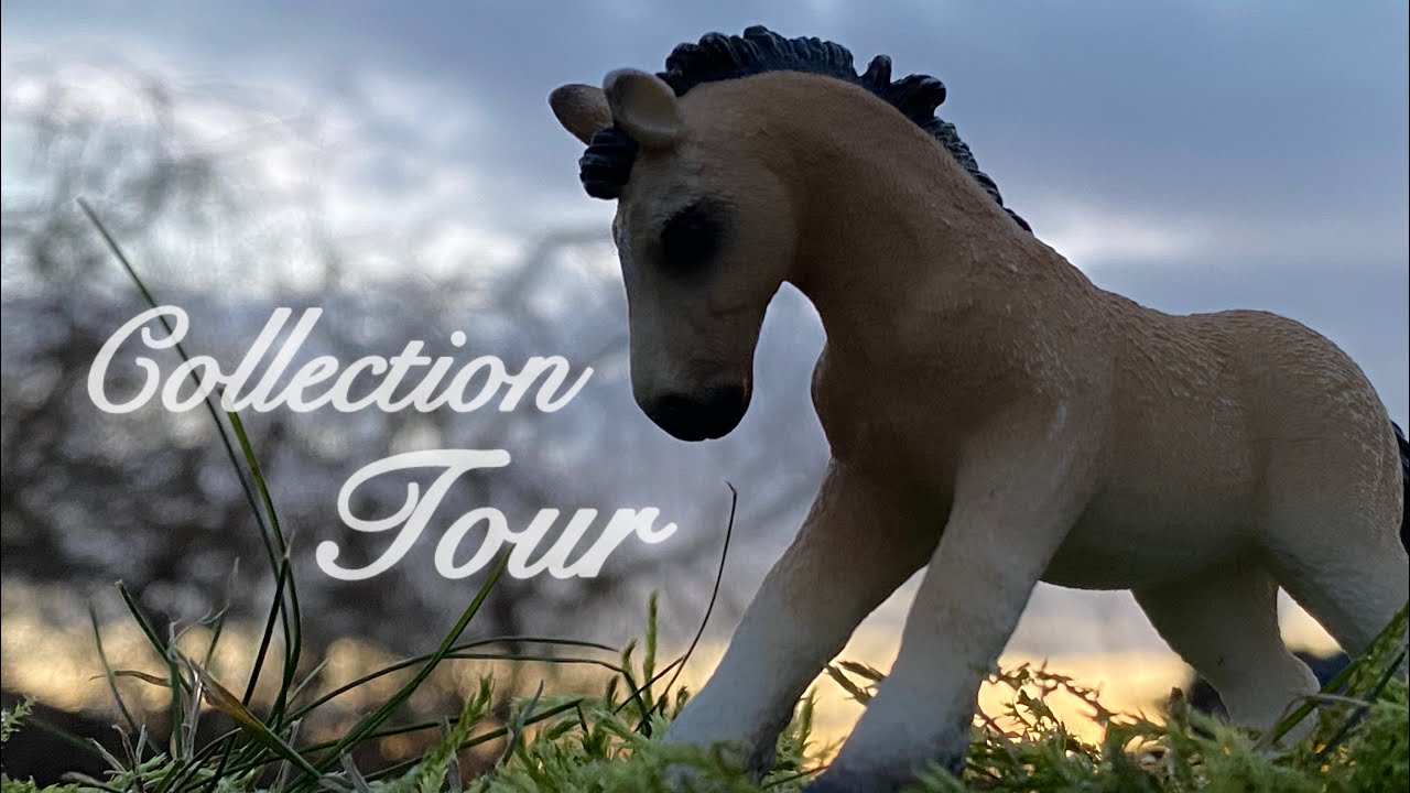 COLLECTION TOUR 2025 || 200+ schleich😻|| Schleich Ajra