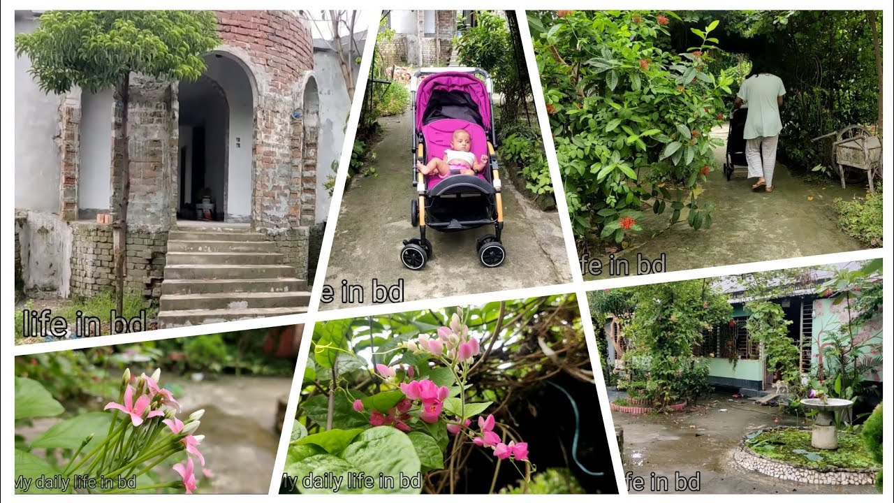 গ্রামে থাকার সুবিধা অসুবিধা। গ্রামের বাড়ি নিয়ে সকল প্রশ্নের উত্তর।