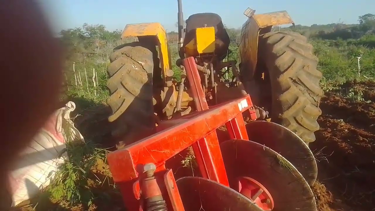 Valmet  65 sem olho tratando dos animais 