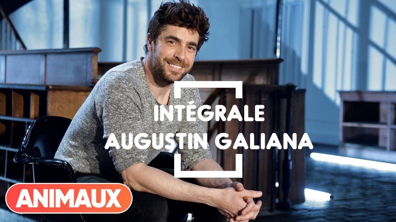 Agustin Galiana est dans Animaux Stars - Animaux