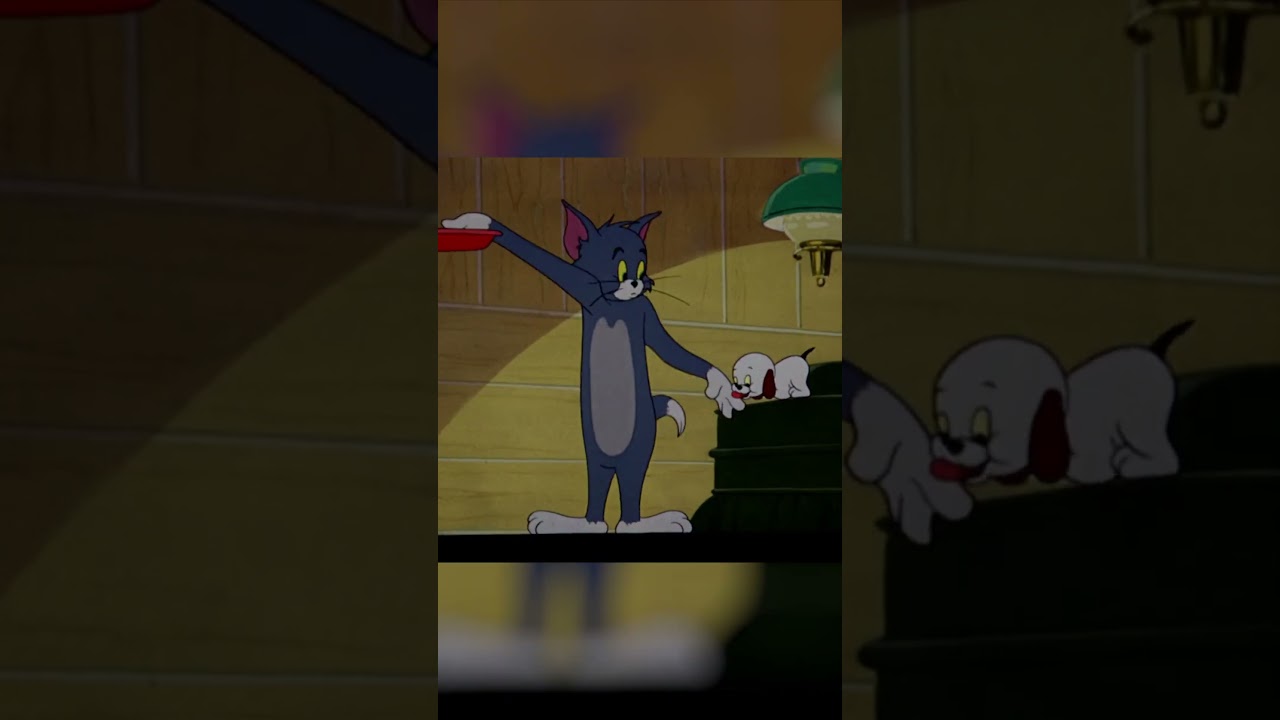 Babysitting a Puppy | Tom and Jerry | Boomerang UK #puppy #TomandJerry #ClassicCartoons #shorts
