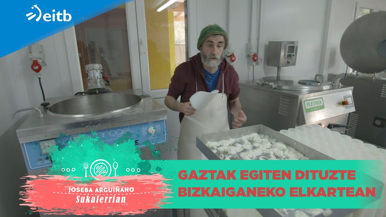 Ardi eta behi gaztak egiten dituzte Bizkaiganeko elkartean