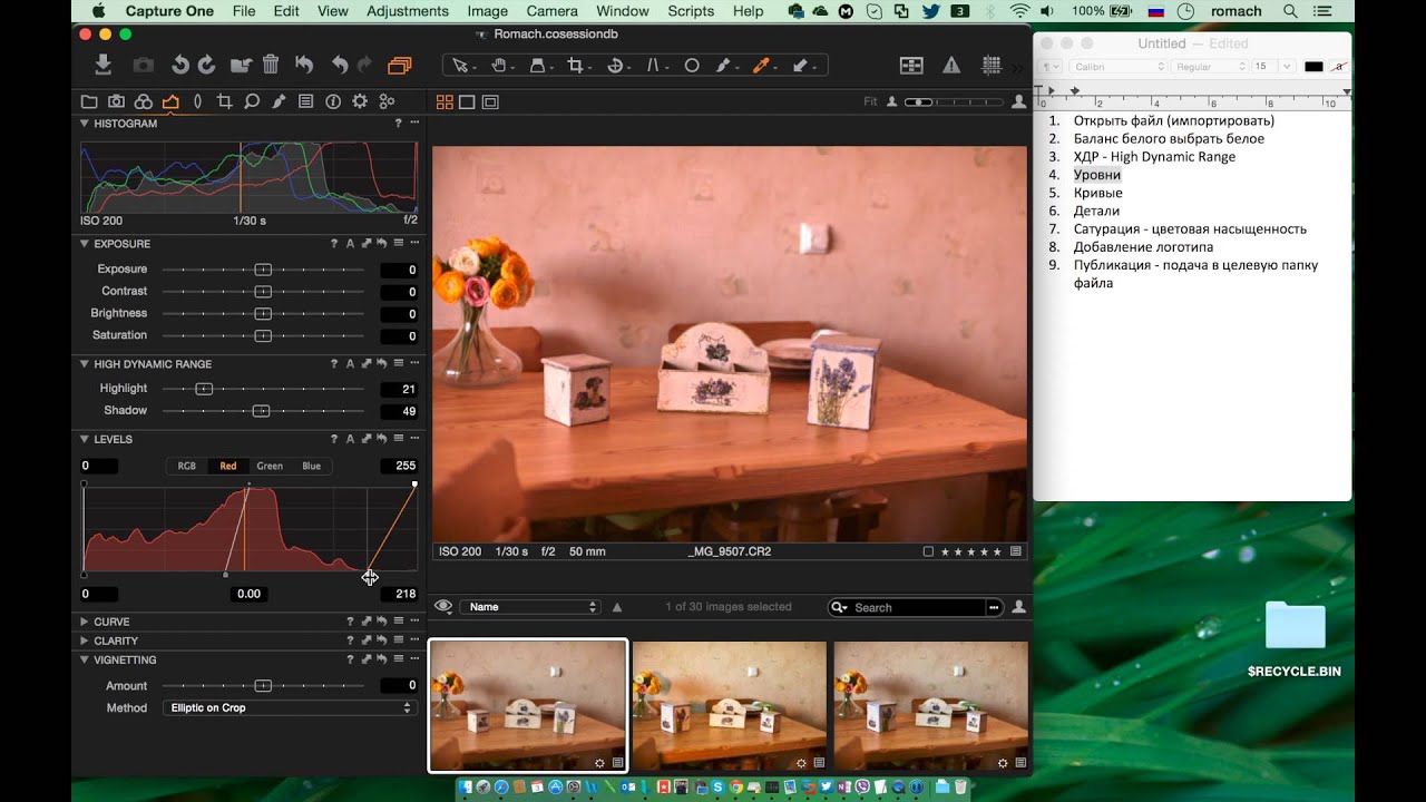 Capture One Adding Logo