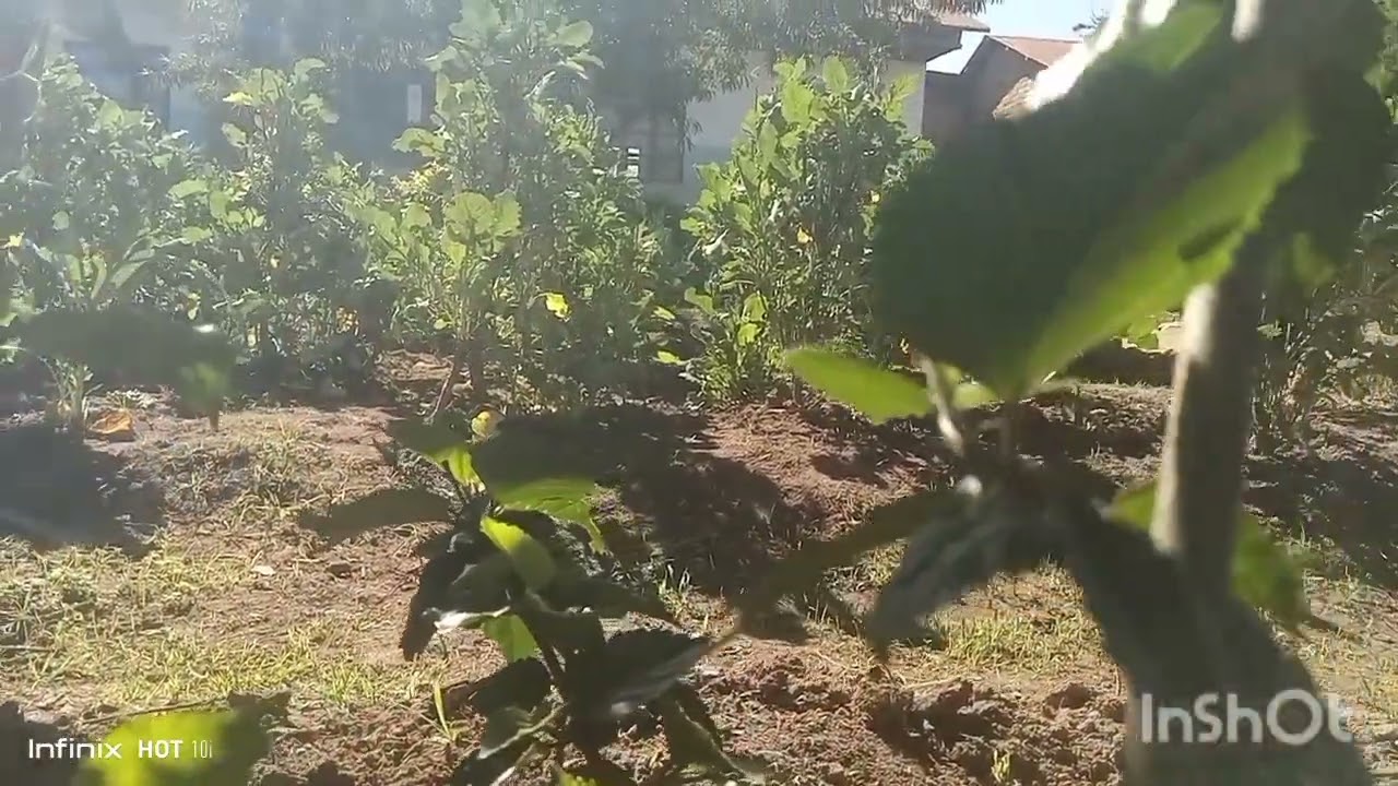 KISA cha YOHANA  kukutana na YESU KRISTO katika KISIWA Cha PATMO|EV.jovinchaffu|