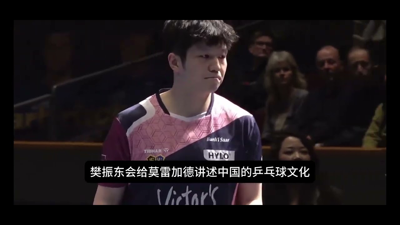 從隔網對壘到並肩出鞘，樊振東與莫雷加德攜手出戰歐冠。兩人已在訓練為比賽做準備。網友：莫雷加德在這麼練下去，奧冠冠軍就是他了。#樊振東 #孫穎莎 #王楚欽 #乒乓球 #運動 #體育